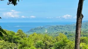 5925 Lot #43 For Sale In Ph8 Ojochal 01