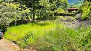 5925 Lot #43 For Sale In Ph8 Ojochal 02