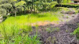 5925 Lot #43 For Sale In Ph8 Ojochal 03