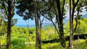 5925 Lot #43 For Sale In Ph8 Ojochal 04