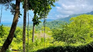 5925 Lot #43 For Sale In Ph8 Ojochal 06