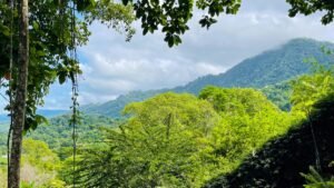 5925 Lot #43 For Sale In Ph8 Ojochal 07