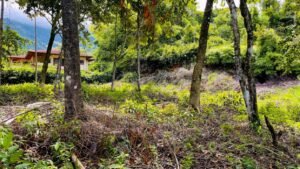 5925 Lot #43 For Sale In Ph8 Ojochal 08