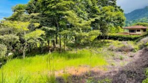 5925 Lot #43 For Sale In Ph8 Ojochal 12