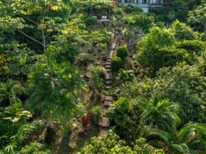 Copy of ConeCat-02(1)