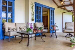 Copy of ConeCat-08(1)