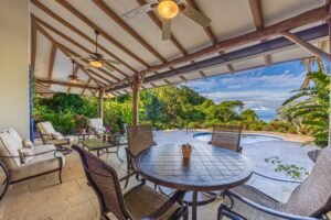 Copy of ConeCat-09(1)