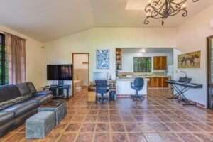 Copy of ConeCat-10(1)