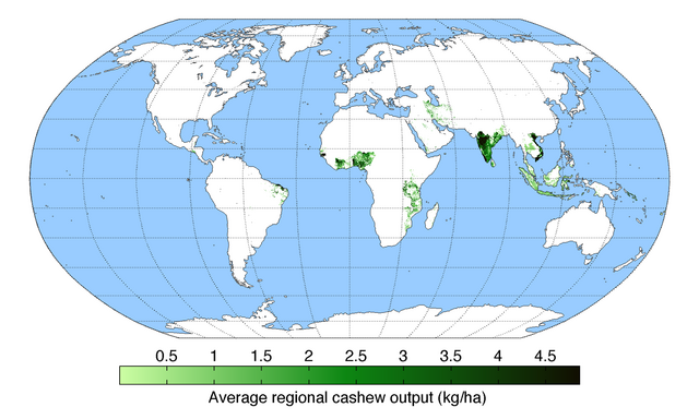 Worldwide cashew production as measured by weight per hectare. c/o AndrewMT, wikicommons.