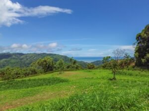 DJI_0455