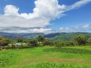 DJI_0456