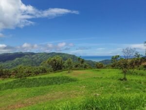 DJI_0457