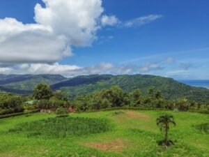 DJI_0459