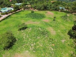 DJI_0460