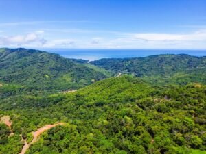 DJI_0466