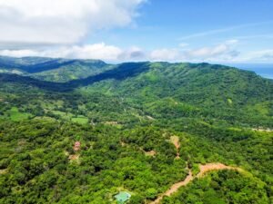 DJI_0467