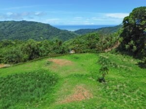 DJI_0471