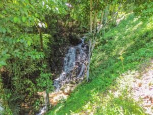 DJI_0485