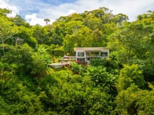 DJI_20250520094833_0326_D