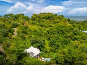 DJI_20250520095539_0333_D