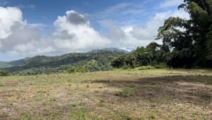 Foto 9-9-24, 10 30 22 a m