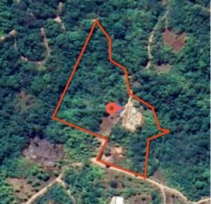 Photo 11-8-21, 9 27 23 AM