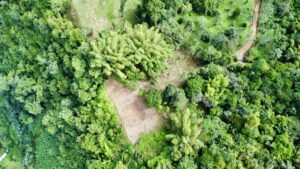 Photo 7-9-24, 8 25 50 AM