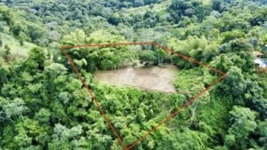 Photo 7-9-24, 8 26 28 AM