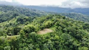 Photo 7-9-24, 8 28 55 AM