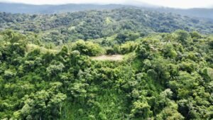 Photo 7-9-24, 8 32 47 AM