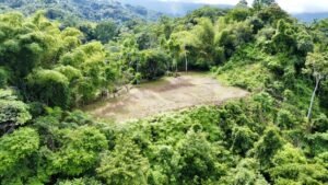 Photo 7-9-24, 8 35 02 AM