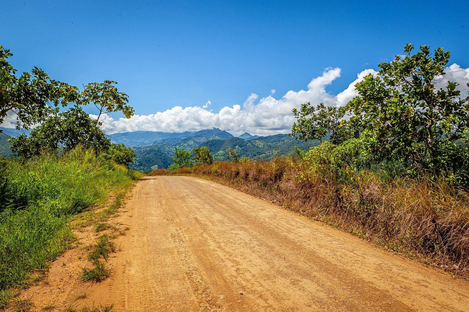 A road leading up to the mountain Boruca villages.