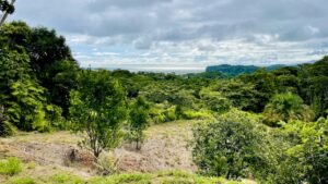 osa-tropical-properties-ocean-view-house-for-sale-in-ojochal-8149-26