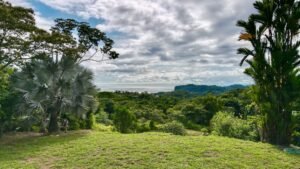 osa-tropical-properties-ocean-view-house-for-sale-in-ojochal-8149-36