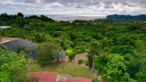 osa-tropical-properties-ocean-view-house-for-sale-in-ojochal-8149-46