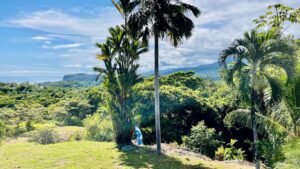 osa-tropical-properties-ocean-view-house-for-sale-in-ojochal-8149-48