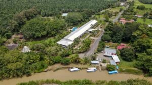 120004 Condo #202 For Sale in Quepos 02