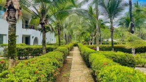 120004 Condo #202 For Sale in Quepos 34