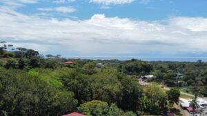 4 breeze dji_fly_20241016_113452_156_1729100881413_photo_optimized