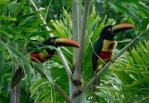 House for sale in Ojochal Costa Rica