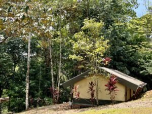 4909 Safari Lodge Ojochal 09