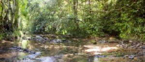 5513 – Profitable Riverfront Resort in Ojochal_16