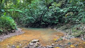 5513 – Profitable Riverfront Resort in Ojochal_28