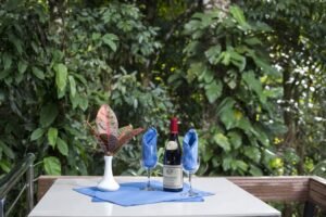 5513 – Profitable Riverfront Resort in Ojochal_40