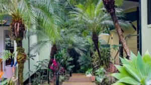 5513 – Profitable Riverfront Resort in Ojochal_42