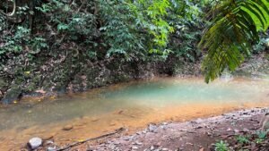 5513 – Profitable Riverfront Resort in Ojochal_52