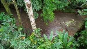 5513 – Profitable Riverfront Resort in Ojochal_72