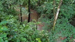 5513 – Profitable Riverfront Resort in Ojochal_73