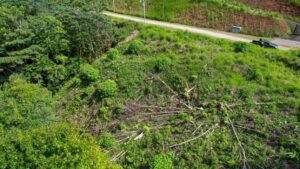 5933 Lot For Sale in Ojochal 03x