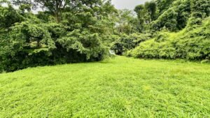 osa-tropical-properties Ocean view lot for sale in Tres Rios 4029 52